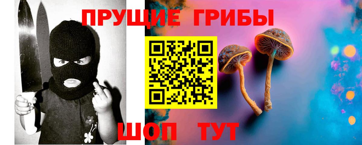 Галлюциногенные грибы мухоморы Энгельс